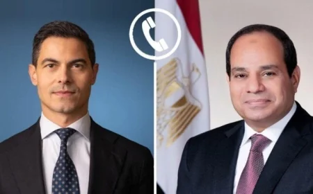 الرئيس السيسي يبارك لرئيس الوزراء الهولندي الجديد تشكيل الحكومة الهولندية