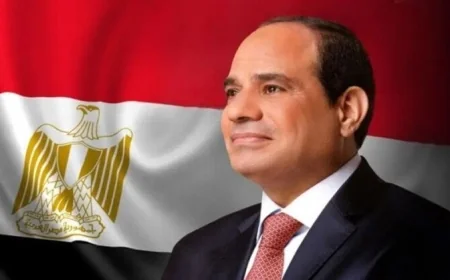 الرئيس السيسي يطلق 4 مشروعات قومية جديدة في احتفالات عيد العمال عبر الفيديو كونفرنس