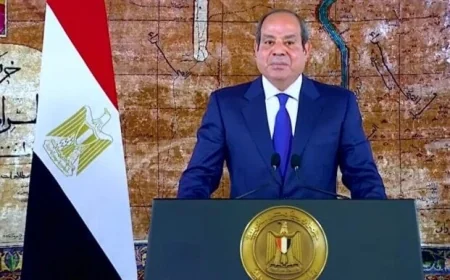 الرئيس السيسي يقوم بجولة تفقدية في مصنع نيرك للمترو ويلتقط صورًا مع العمال والمسؤولين