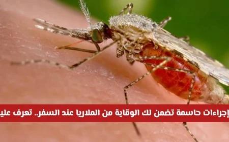 تعرف على 3 خطوات فعالة من صحة دبي لحمايتك من الملاريا أثناء السفر