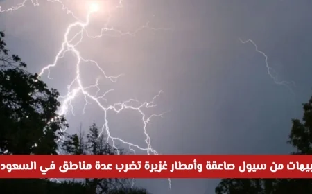 توقعات الطقس في السعودية: سيول وأمطار غزيرة تضرب عدة مناطق اليوم