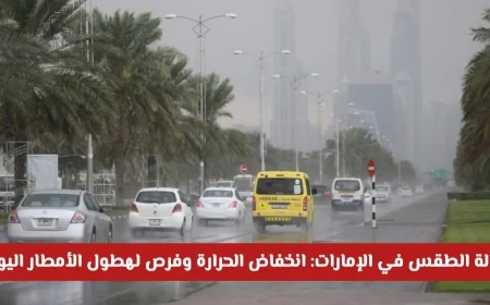توقعات الطقس في الإمارات: انخفاض الحرارة وهطول الأمطار اليوم تعرف على المناطق المتأثرة