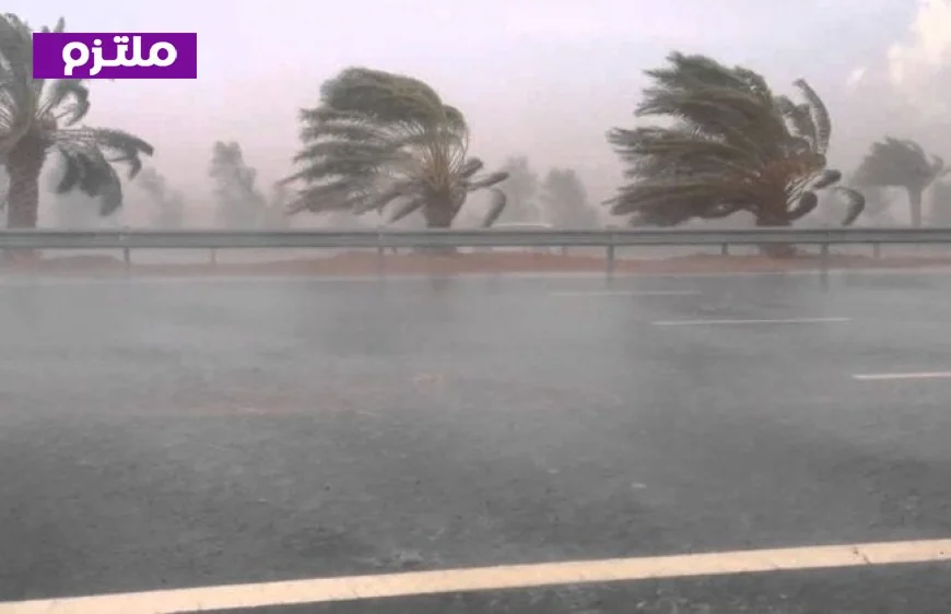 وزير الزراعة يعلن حالة الطوارئ لمواجهة تأثير التقلبات الجوية على القطاع الزراعي