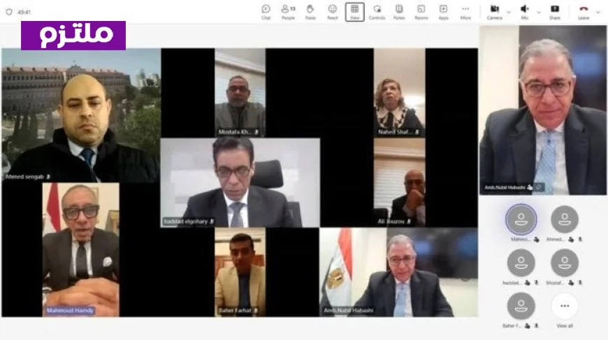 الخارجية تنظم جلسة افتراضية مع الجالية المصرية في لبنان لمناقشة أوضاعهم الحالية