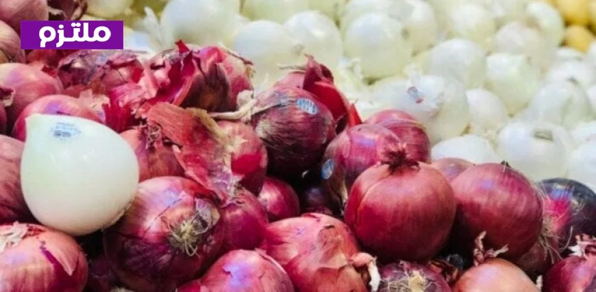 أسواق الأوروجواي تستقبل البصل والثوم المصري لأول مرة