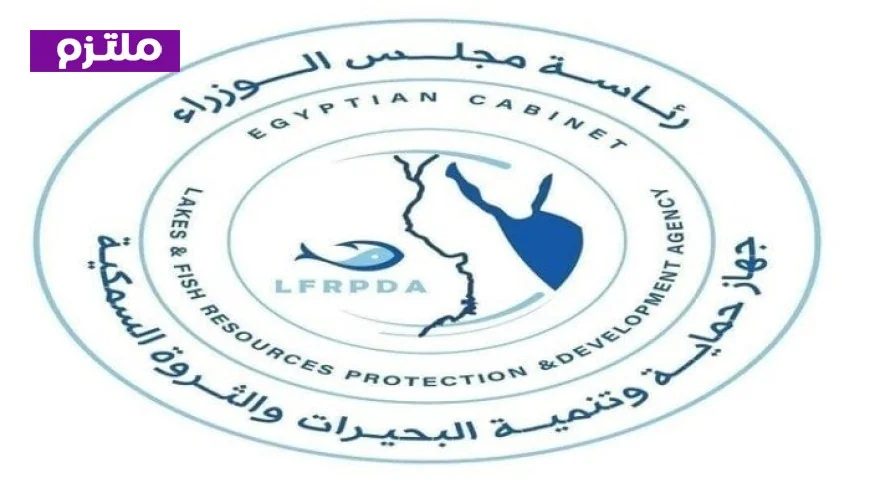 جهاز تنمية البحيرات يؤكد عدم وجود زيادات في أسعار الأسماك حاليا