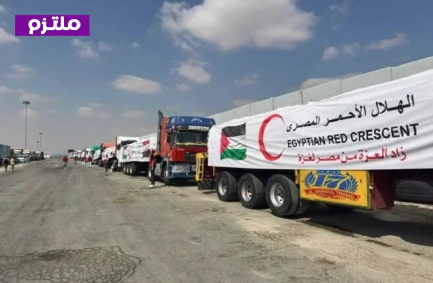 الهلال الأحمر المصري يستمر في تقديم المساعدات الإنسانية إلى غزة فيديو