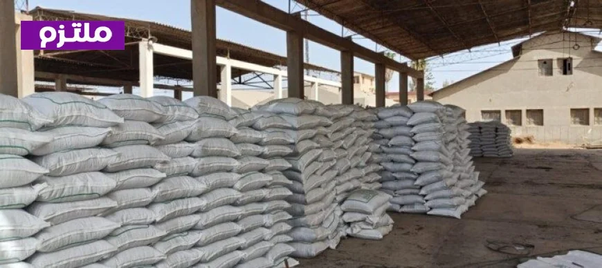 الزراعة تعلن تجهيز أكثر من 15000 شيكارة قطن من تقاوي المزارع المعاونة لتعزيز الإنتاجية الزراعية