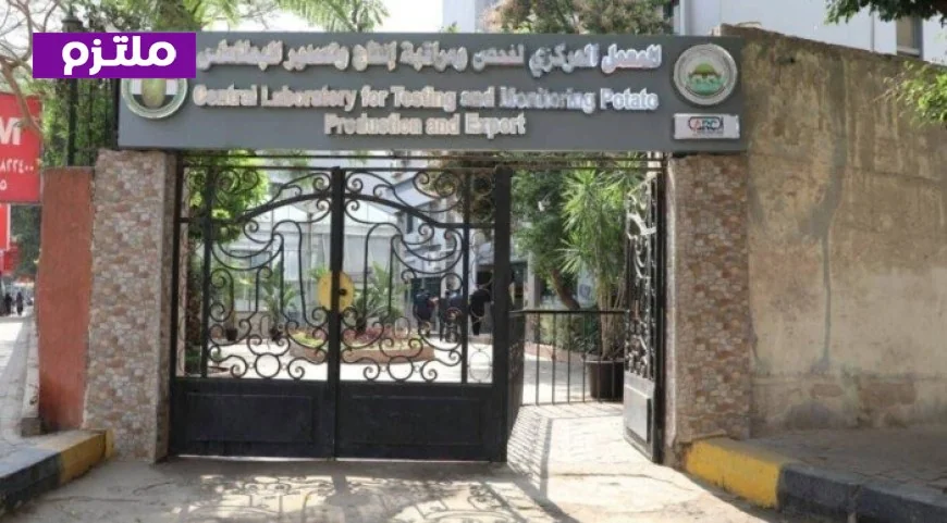 تعرّف على جهود المعمل المركزي في فحص وتصدير البطاطس خلال مارس من وزارة الزراعة