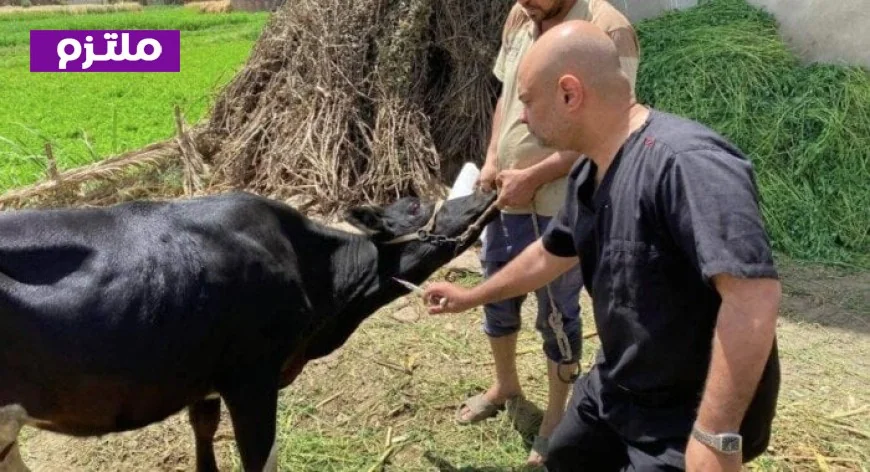 تحصين 2.1 مليون رأس من الماشية في الحملة الوطنية لمكافحة الجلد العقدي وجدري الأغنام