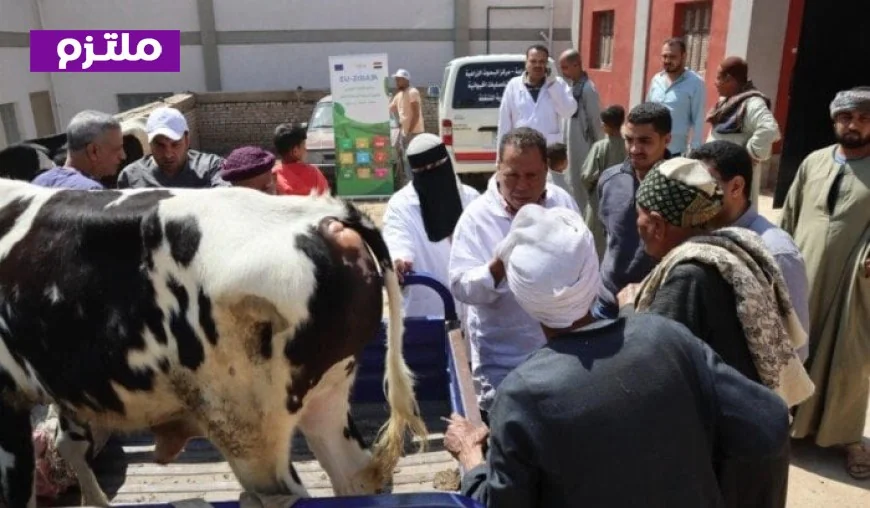 الزراعة تقدم قوافل بيطرية مجانية لدعم صغار المربين في أسيوط