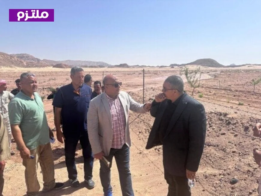 الزراعة تطلق حزمة دعم شاملة لمتضرري السيول في سيناء وتستصلح الأراضي على نفقة الوزارة