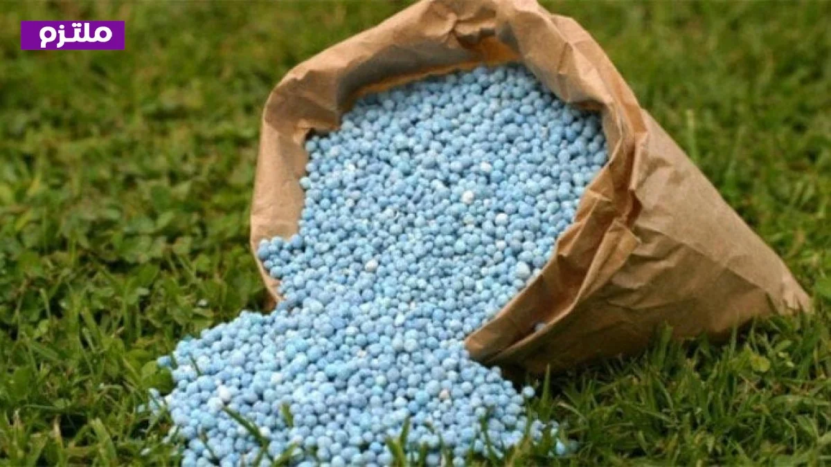 غدا بدء توزيع أسمدة الموسم الصيفي 2026 في كافة المحافظات المصرية