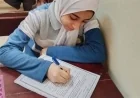 كل ما تحتاج معرفته عن جدول امتحانات الشهادة الإعدادية 2026 في المحافظات يبدأ 4 يونيو