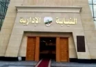 النيابة الإدارية تتيح قناة تفاعلية عبر تليجرام لتيسير تسجيل الشكاوى والتواصل المباشر مع المواطنين