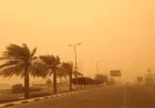 عاصفة رملية قوية تضرب الجيزة والصحراء الغربية وتصل إلى الصعيد مع تراجع الرؤية