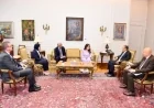 وزير الخارجية يؤكد على أهمية توسيع الاستثمارات المصرية مع بنك التنمية الإفريقي