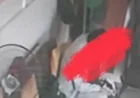 تحرك سريع من وزارة التعليم بعد أحداث مدرسة هابي لاند الفاجعة