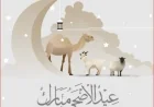 موعد وقفة عرفات وعيد الأضحى 2026 وقائمة الإجازات المتبقية في 2023