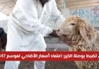 دبي توجه دفة الخير باعتماد أسعار الأضاحي لموسم 1447هـ 2026