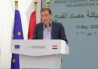 فاروق يكشف عن قرب إنتاج 10 ملايين طن من القمح مع زيادة 600 ألف فدان في المساحة المنزرعة