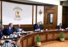 مدبولي يوجه بسرعة إنهاء التصور النهائي لمبادرة توسيع استخدام الطاقة الجديدة