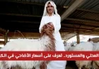 اكتشف أسعار الأضاحي في الكويت لهذا العام بين الخيارات المحلية والمستوردة