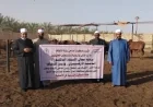الأوقاف تكثف جهودها لتجهيز الأضاحي بمجازر أبو سمبل قبيل عيد الأضحى المبارك