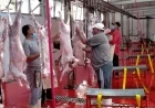 ذبح 10000 أضحية مجانا في المجازر الحكومية خلال أول أيام عيد الأضحى
