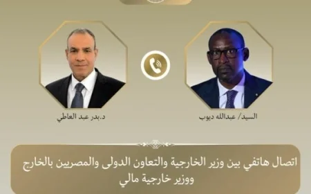 مصر تؤكد رفضها القاطع للإرهاب والتطرف في مالي وتجدد إدانتها للأعمال الإرهابية