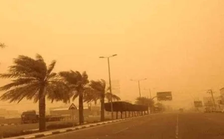 عاصفة رملية قوية تضرب الجيزة والصحراء الغربية وتصل إلى الصعيد مع تراجع الرؤية