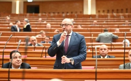 طلب إحاطة من النائب حسام المندوه حول استراتيجية الحكومة لمكافحة التنقيب العشوائي عن الذهب