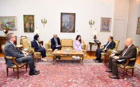 وزير الخارجية يؤكد على أهمية توسيع الاستثمارات المصرية مع بنك التنمية الإفريقي