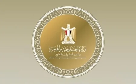 مصر تندد بالهجوم على ناقلة نفط إماراتية في مضيق هرمز واعتباره تهديداً خطيراً لأمن المنطقة