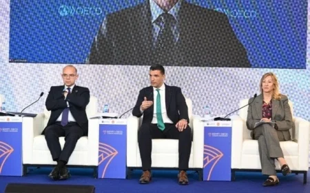 خالد هاشم يدعو لتجديد سياسات دعم الصناعات الاستراتيجية لتعزيز قدرتها التنافسية