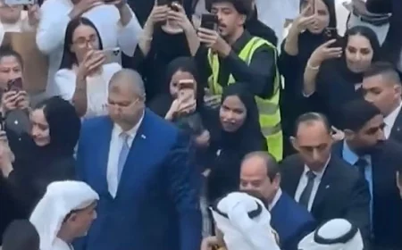 مظاهرة حاشدة في الإمارات تأييداً للرئيس السيسي خلال زيارته مع الشيخ محمد بن زايد فيديو