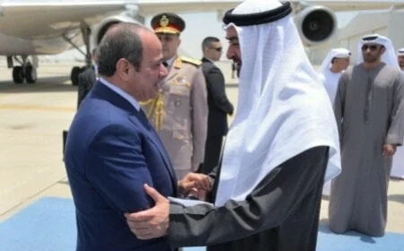 حزب حماة الوطن يستقبل زيارة الرئيس السيسي إلى الإمارات في تأكيد على وحدة المصير