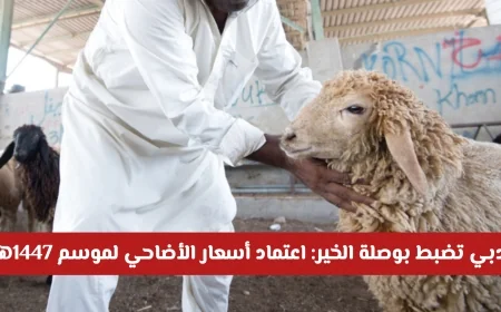 دبي توجه دفة الخير باعتماد أسعار الأضاحي لموسم 1447هـ 2026