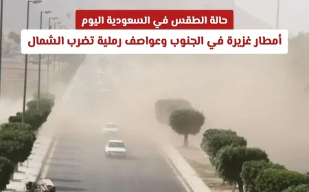 الطقس في السعودية اليوم: أمطار غزيرة تجتاح الجنوب وعواصف رملية تضرب الشمال