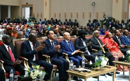 رئيس الوزراء يحضر احتفال تنصيب الرئيس الجيبوتي إسماعيل علي جيله