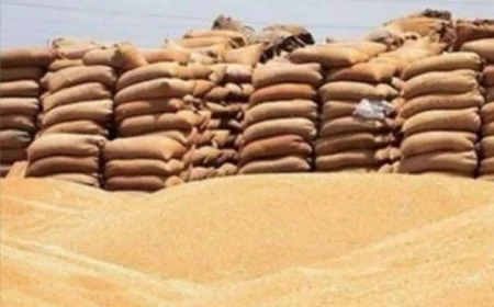 الفلاحون يثمنون جهود مطاحن مصر العليا في تسهيل توريد القمح ودعم المزارعين