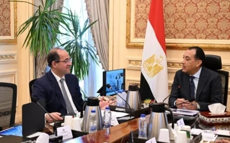 حكومة تفعيل استراتيجية النقل الأخضر تدرس شراء أول دفعة من السيارات الكهربائية للمسؤولين