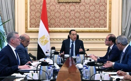 مدبولي يؤكد على ضرورة تأمين الاعتمادات المالية لتحقيق استقرار الشبكة القومية للكهرباء