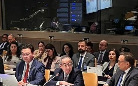 مصر تساهم بفعالية في الدورة الثانية للمنتدى الدولي لمراجعة تنفيذ أهداف الميثاق العالمي للهجرة