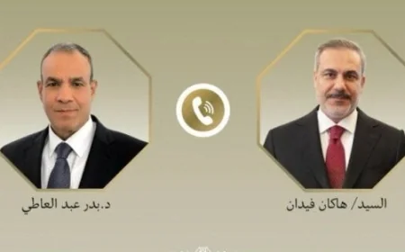 مصر وتركيا تأكدا على ضرورة الحلول الدبلوماسية لخفض التصعيد وإنهاء الصراعات