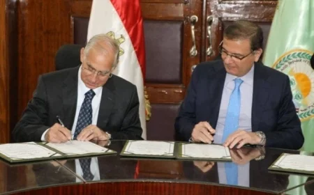 تعاون ثلاثي لتحسين سلالات الماشية في مصر ويعزز الإنتاج الحيواني