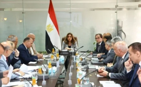 وزيرة التنمية المحلية تشدد على ضرورة تخصيص الاعتمادات المالية لدعم المشاريع البيئية والتنموية