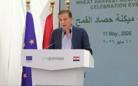 فاروق يكشف عن قرب إنتاج 10 ملايين طن من القمح مع زيادة 600 ألف فدان في المساحة المنزرعة