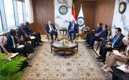 وزير البترول يناقش مع المنتجين الأفارقة تعزيز التكامل القاري في قطاع الطاقة