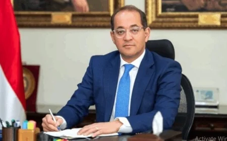 وزير المالية يؤكد التعاون مع جهات التمويل لإطلاق مبادرة شمس الصناعة قريباً